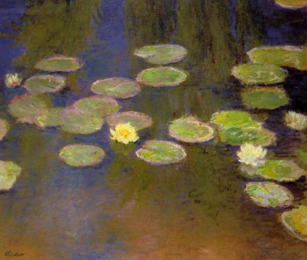 Water-Lilies II