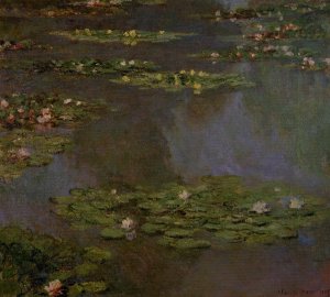 Water-Lilies IX