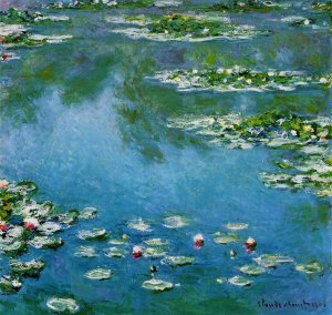 Water-Lilies XIV