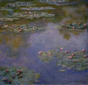 Water-Lilies 4