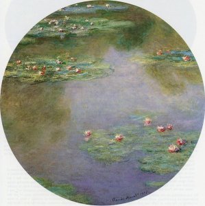 Water-Lilies 6