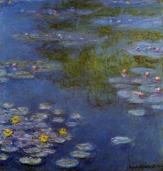 Water-Lilies 17