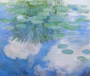 Water-Lilies 25