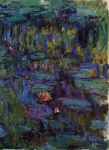 Water-Lilies 26