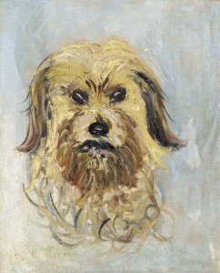 Tete de chien griffon, Follette