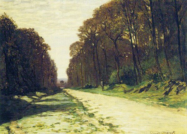 Road In A Forest