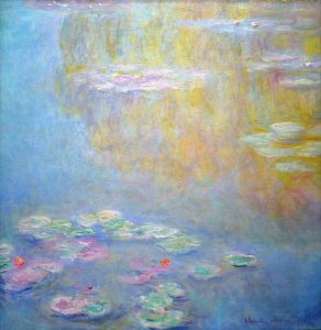 Water-Lilies 21