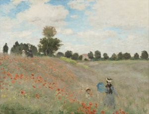 Field of Poppies