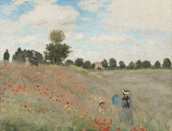 Field of Poppies