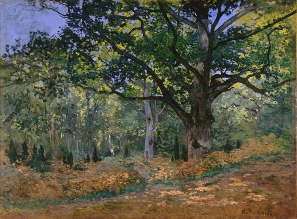 The Bodmer Oak Fontainebleau Forest 1865