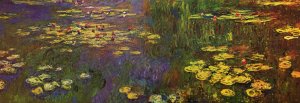 Nympheas (Water Lilies)