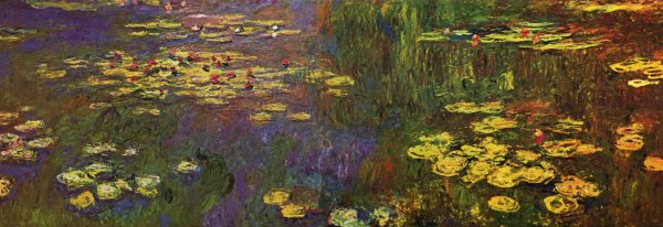 Nympheas (Water Lilies)