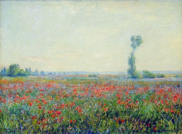 Poppy Field