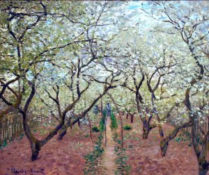 Orchard in Bloom