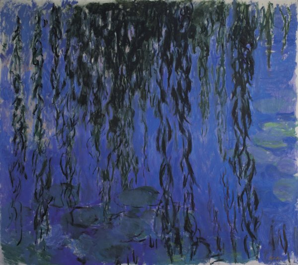 Water Lilies and Weeping Willow Branches