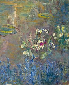 Water Lilies 57