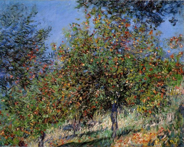 Apple Trees On The Chantemesle Hill