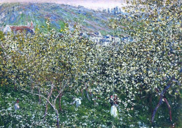 Vetheuil Flowering Plum Trees