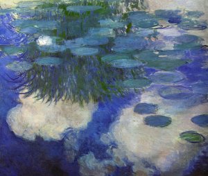 Water Lilies53