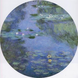 Water-Lilies 15