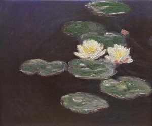 Nympheas (Waterlilies)